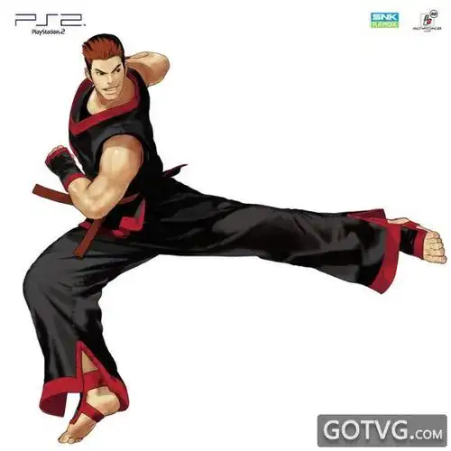 《饿狼传说》狼之烙印人物招式详细剖析-金东焕