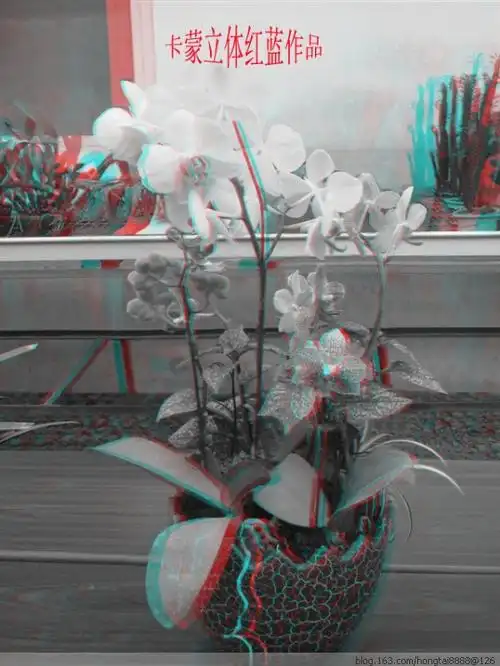 3d红蓝图欣赏(请佩戴红蓝立体眼镜观看立体效果)