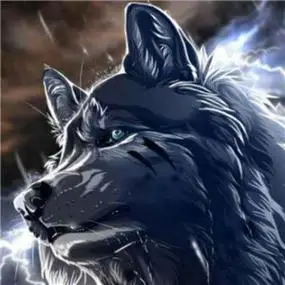 血狼头像图片大全 霸气最凶的血狼头像_动物头像_美头网