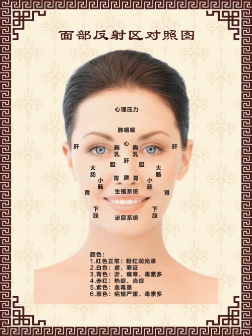 标准脸部反射区图 面部反射区图 面诊图面部按摩穴位图 60*80厘米