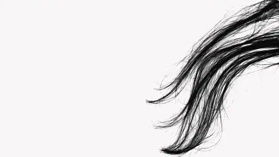 笔刷素材下载-110组精修头发毛发ps笔刷- 麦克威-macv