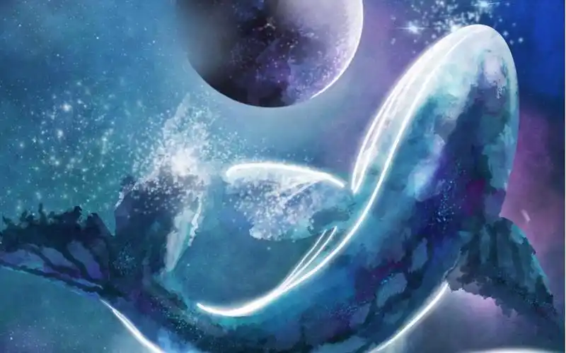 procreate画一条星空中的鲸鱼非常简单