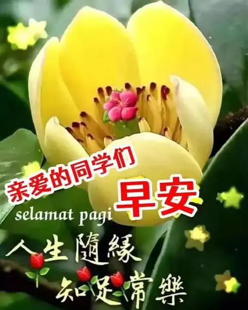 早上好问候祝福图片好看的老同学早上好问候祝福表情图片带字温馨