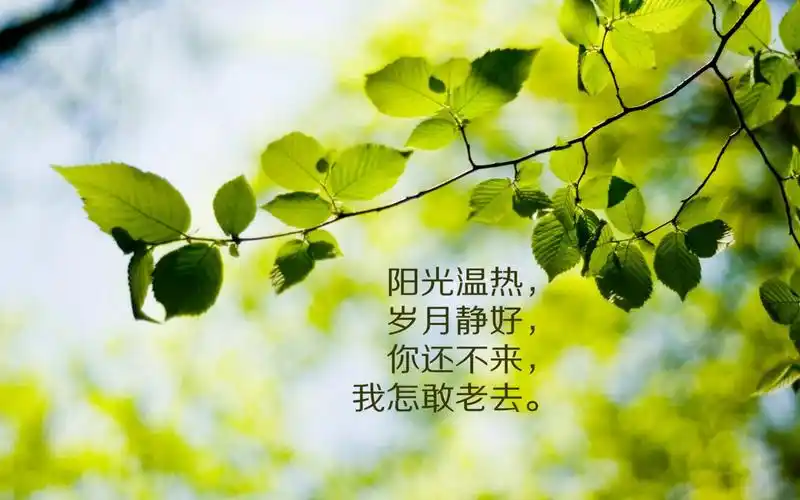 岁月静好桌面主界面效果图岁月静好桌面开始菜单效果