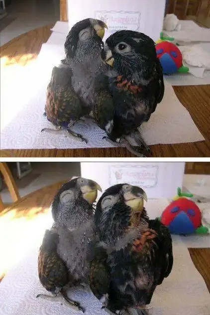 幽默搞笑图片原来帅也是我的错