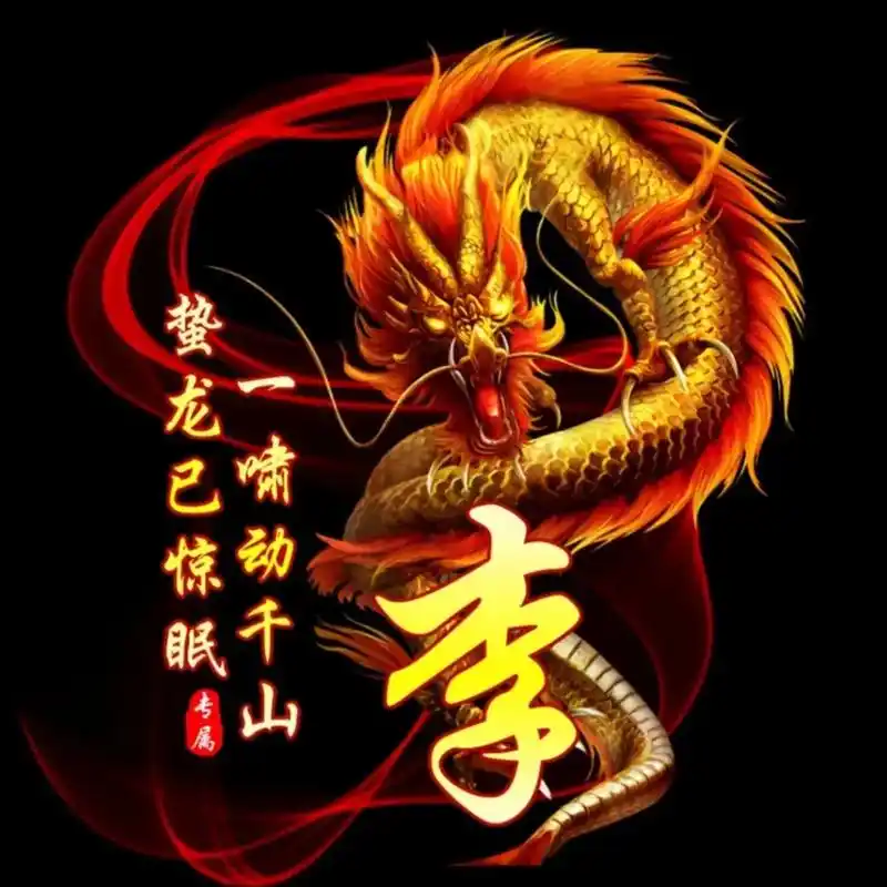 李姓专属龙年元素头像.抖音首页搜索:图库引擎小程序进入; 输 - 抖音