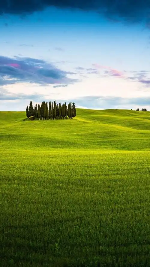 养眼蓝天白云草原风光