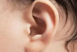 耳朵大的人真的有福气吗(三种耳朵一辈子穷命)-星座大全-小星座网