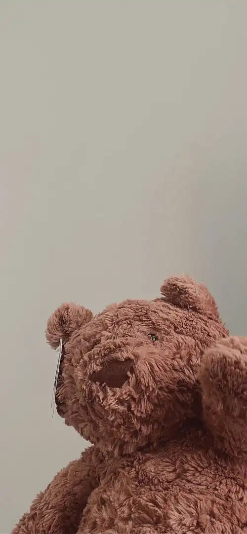 熊熊壁纸太可爱了趴