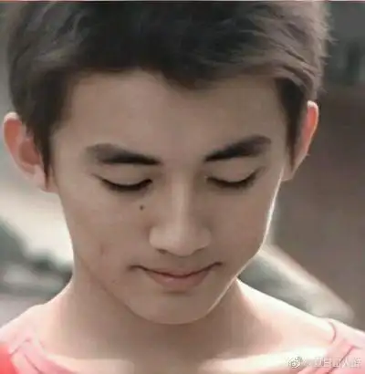 不用辛苦找刘学义的丑图这里有出道前16岁的刘学义