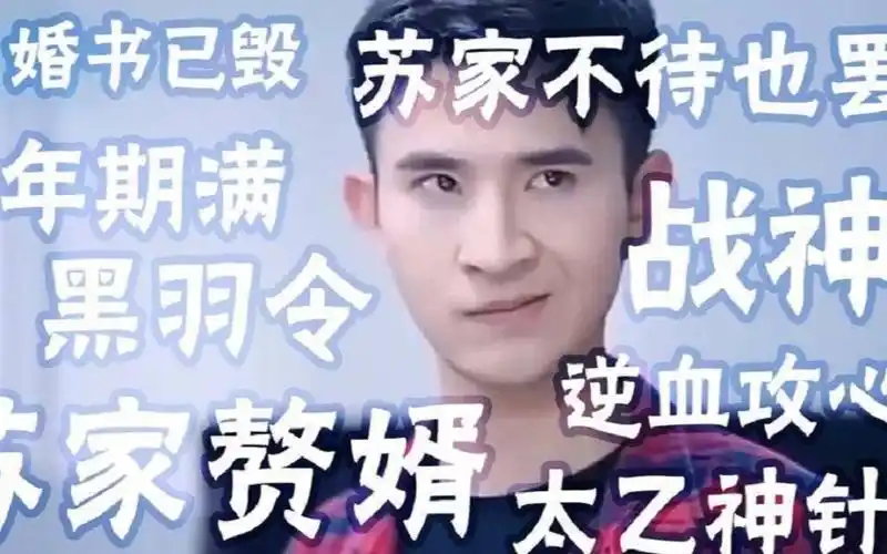 【互动视频】b站首版赘婿测试来啦~测测你是几级歪嘴战神吧~看看你能