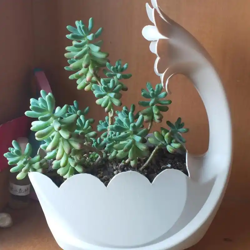 第一次搞编织有点丑洗衣液瓶子改装在家闲着做点手工花瓶废物利用