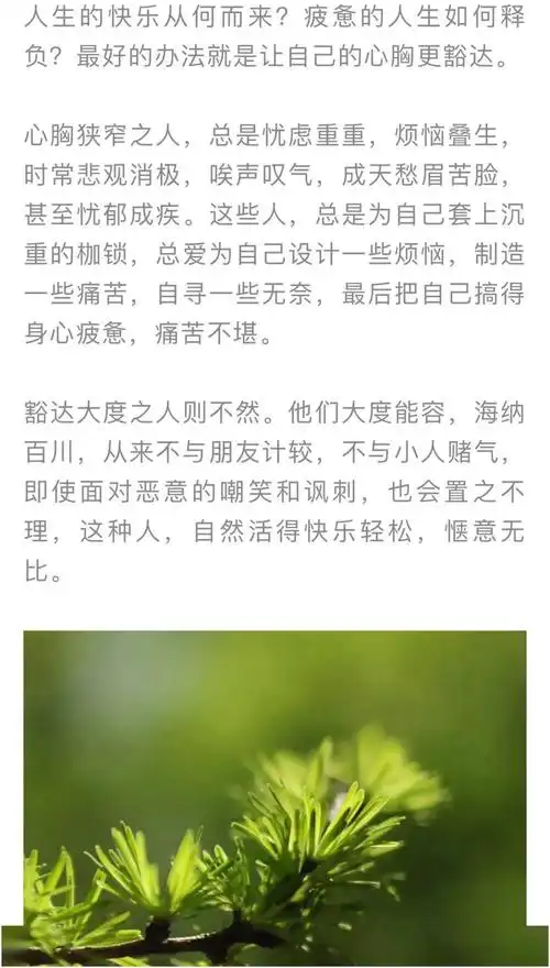 【周末品读】有一种胸怀,叫豁达