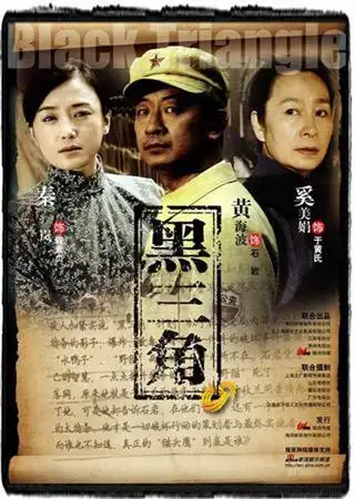 山东卫视最新动态  2009年7月16日上午,三十集大型反特电视剧《黑三角