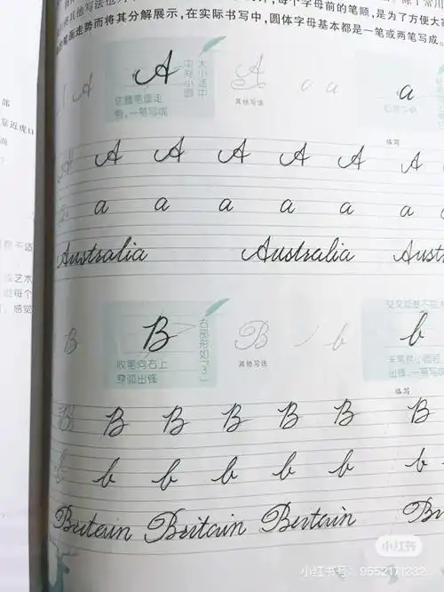 英文花体字练习26个字母全