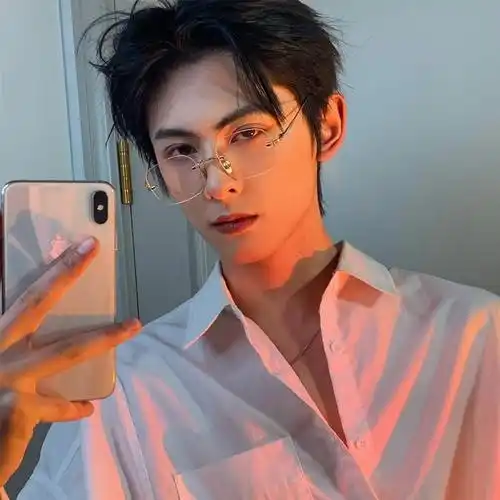 斯文败类眼镜痞帅男潮金丝边平光镜近视镜可配度数金属流线防蓝光