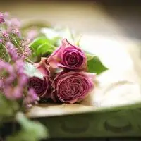 清新淡雅小花头像图片花头像淡雅唯美图片