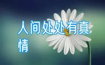 人间处处有真情:人间处处有真情的作文600字