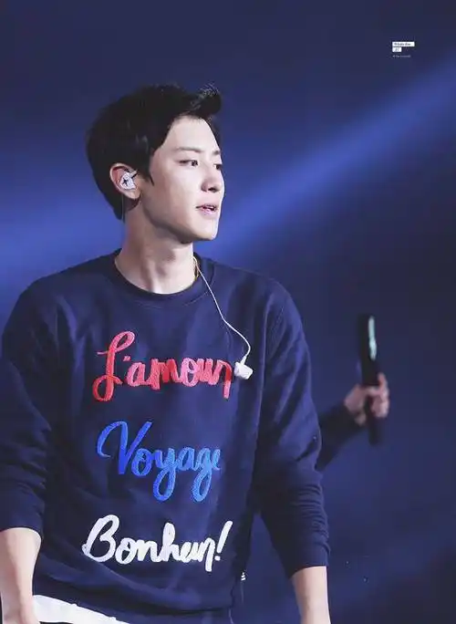 朴灿烈 151010 exo love 首尔巨蛋演唱会