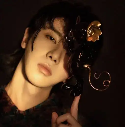 【微信头像】华晨宇