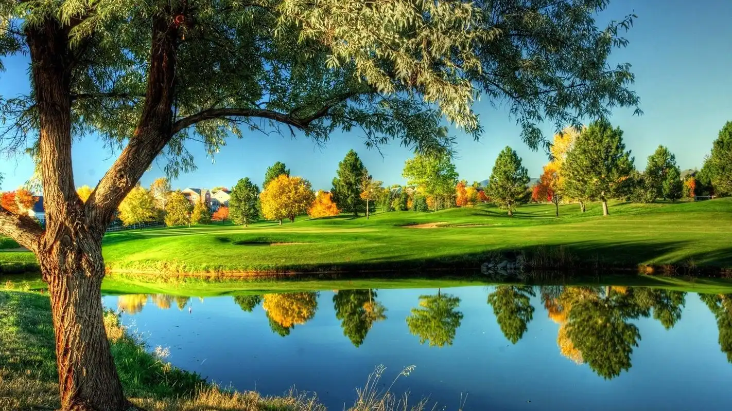 唯美清新绿色护眼高清桌面壁纸