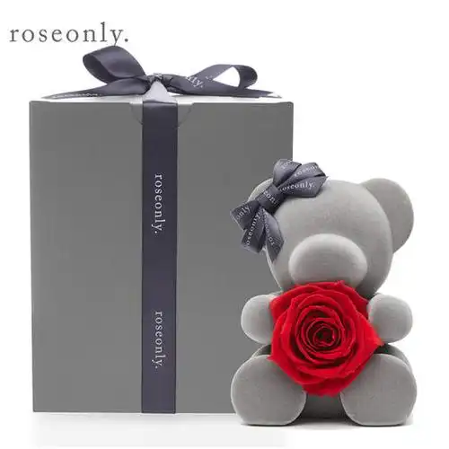 肖战力荐双11甜心熊公仔套装