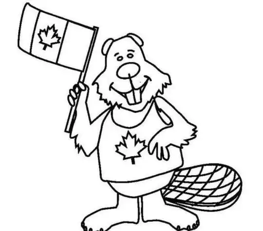 加拿大最有名的动物简笔画加拿大国宝动物简笔画加拿大人简笔画海狸的