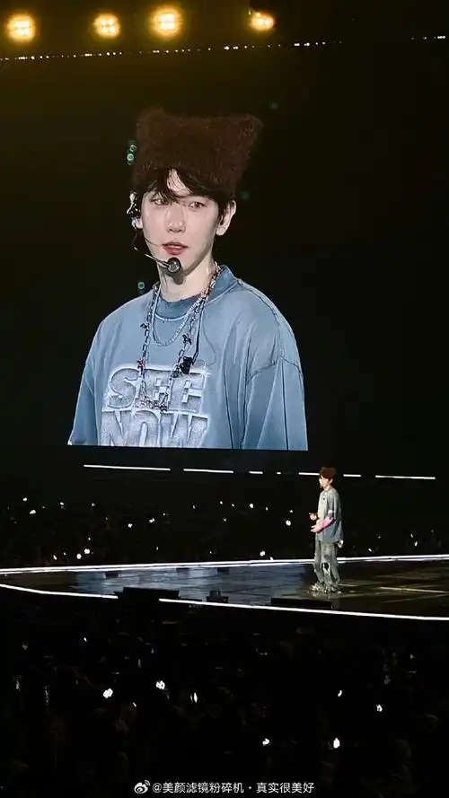 边伯贤粉丝 生菜发夹