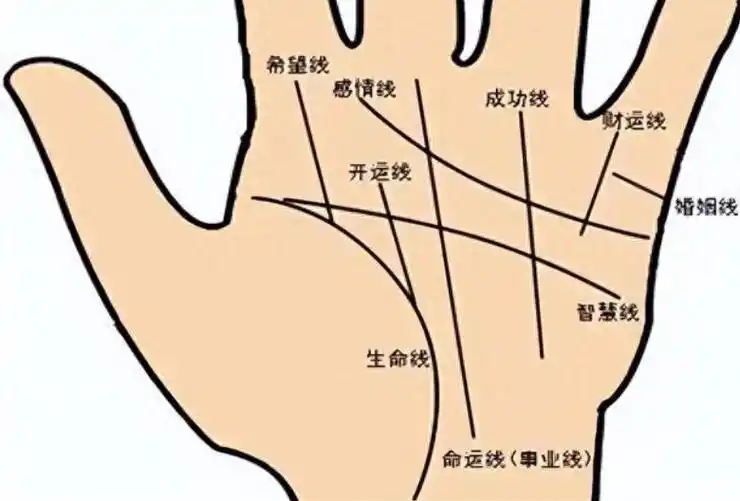 民间俗语:"断掌一条线,富贵不相欠",什么意思?你是断掌吗?