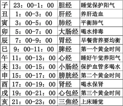 所有分类 人文社科 文学研究 十二时辰对照表 十二时辰与养生 子 丑