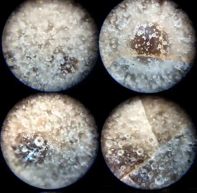 宋代哥窑显微镜下的釉