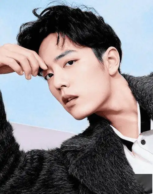 中国颜值最高十大男星(中国男明星颜值排行榜)-图6