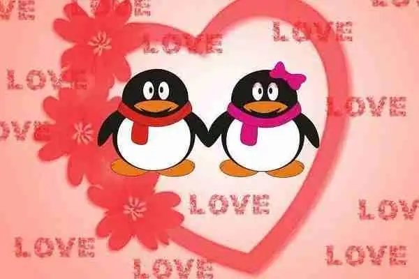 怎么关闭qq空间宠物qq空间宠物偷菜都是青春的样子