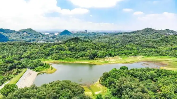 【南沙验客】再遇南沙,感受它的万种风情 - 南沙区游记攻略【同程旅游