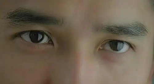 男明星里最美的眼睛说的就是他吧