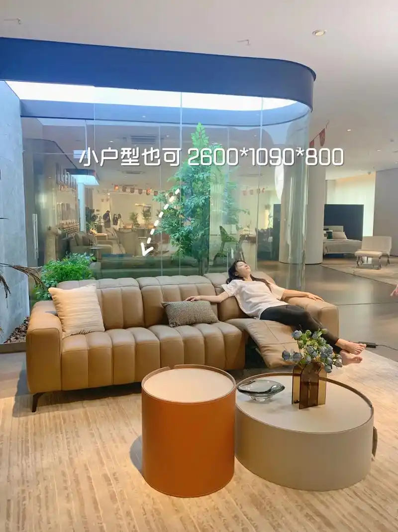 高级的复古棕,意式极简功能电动沙发.你爱了吗99#沙发 #客 - 抖音