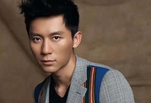李晨,一位曾因才华和勤奋而在影视界崭露头角的艺人,因一句轻率的评论