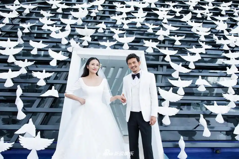 杨烁王黎雯高清婚纱照