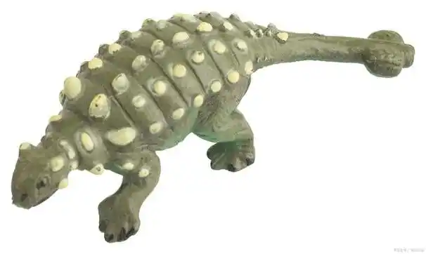 甲龙是恐龙中非常特殊的一种,它的尾巴上有一个形状独特的尾锤.