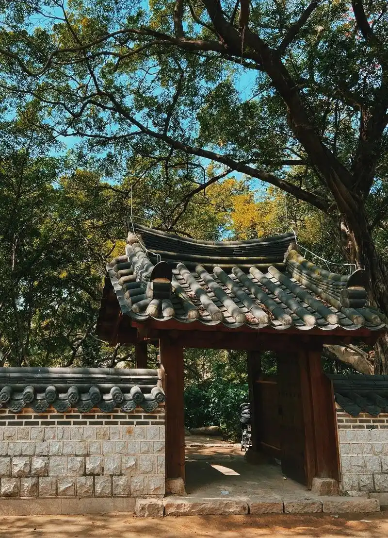 穿越到韩国古装剧,广州这一庭院,免费打卡好去处