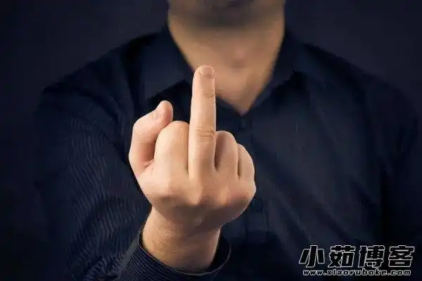 竖中指是什么意思