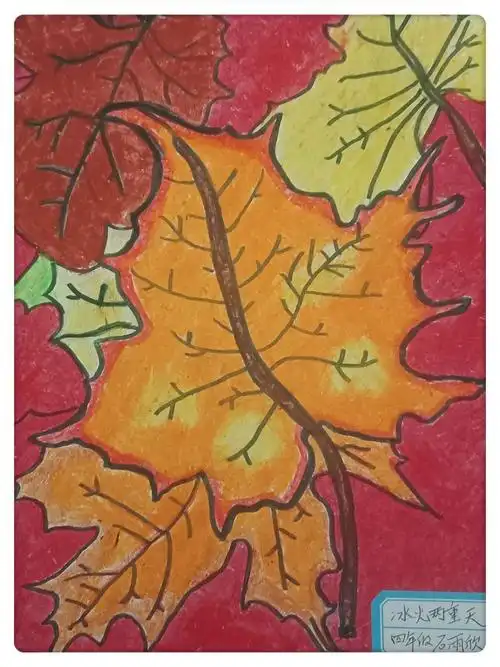 四年级石雨欣的美术作品——《冰火两重天》.