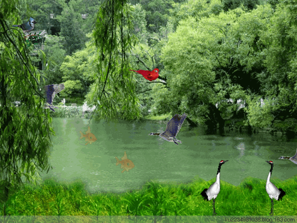 【转载】人间仙境 动态组图