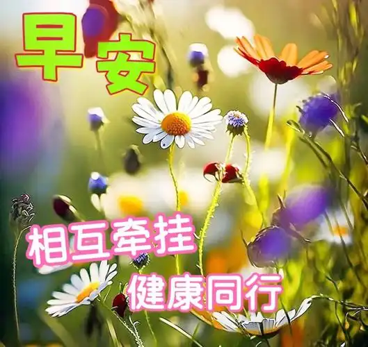 4月27日早上好每日问候
