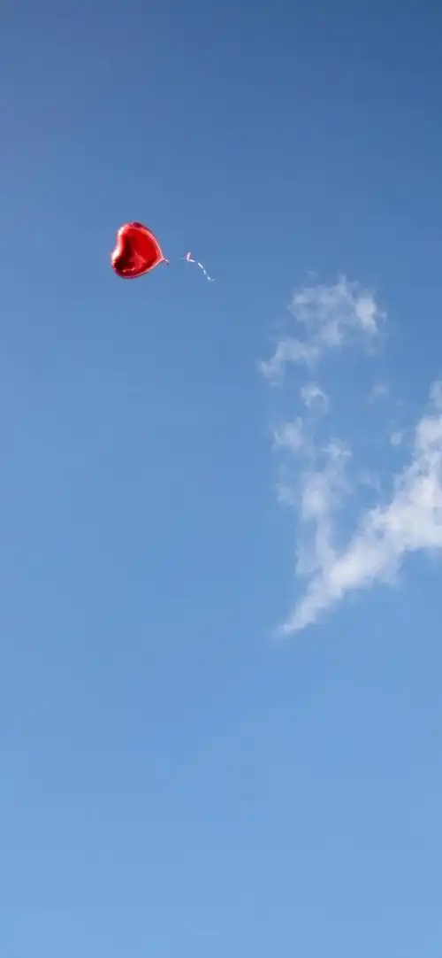 2021最流行锁屏壁纸 锁屏壁纸高清全屏女生可爱-趣玩号