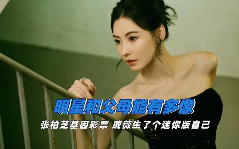 和父母共用一张脸是怎样的感受,戚薇生了个自己