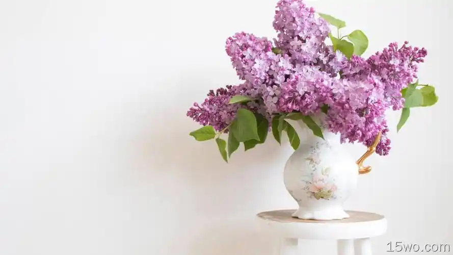 摄影 静物 花 丁香 pitcher 高清壁纸