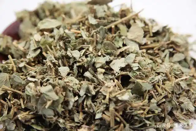 中药金钱草的功效:祛风湿 止骨痛 清热利尿 疏通经络 通淋消石