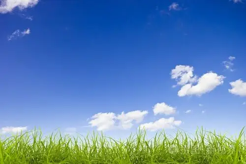 绿草在蓝蓝的天空背景