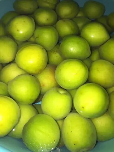 自制潮汕(咸)酸梅